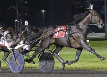 Can Venerate repeat in $145,150 Cutler Memorial?