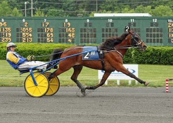 AHDC trot action held at Freehold