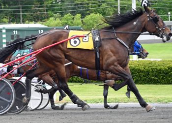 17-1 longshots upset in AHDC trots