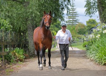 What The Hill reaching new heights