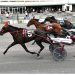 Chapter Seven foals dominate NYSS at Vernon Downs