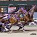Carbine breaks 1:50 at Scioto, Next Gen slots drawn