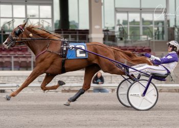 Streaking filly, upsetters score in $145,196 PASS