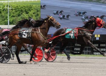 Open Trot to a determined Emerald’s Legacy