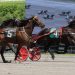 Open Trot to a determined Emerald’s Legacy
