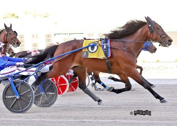 ‘Forceful’ late charge takes Scioto Open