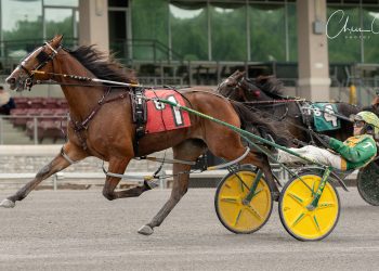 Geocentric off to strong start in PASS