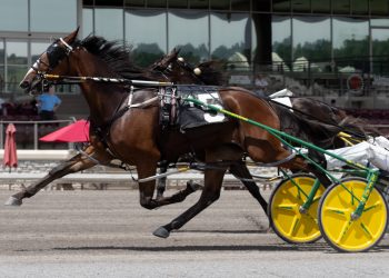 Dan Patch winner kicks off season in PASS