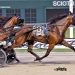 Perfect start for Dan Patch winner