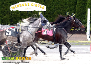 Frondeur gets up in final strides at Tioga