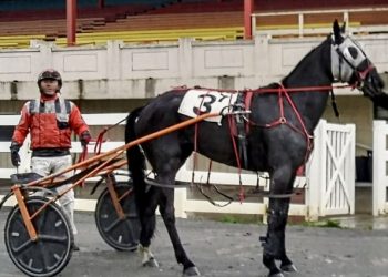 Drew Campbell has hot hands at Bangor