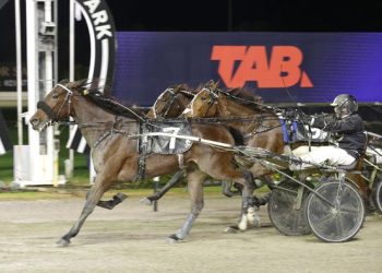 Two Tonys win Trotting Derby