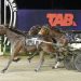 Two Tonys win Trotting Derby