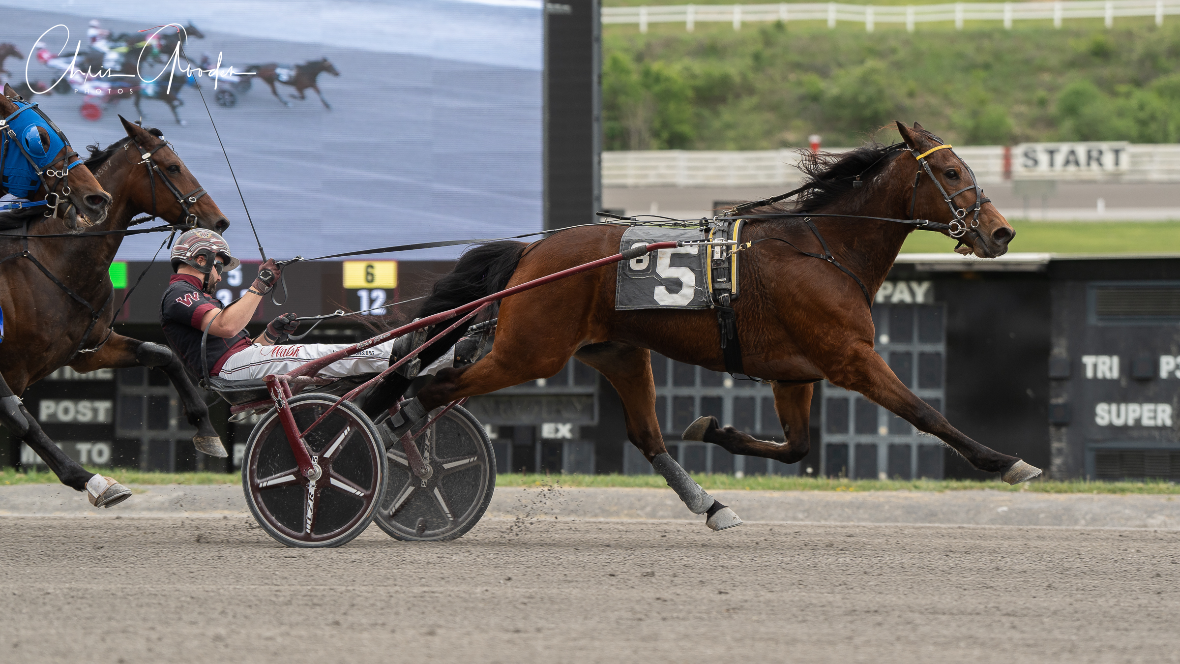 Top trot goes to repeat winner at The Meadows