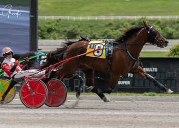 Marloe Hanover has plenty left for the drive home