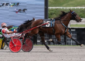 Millionaire mare takes Meadows distaff Open