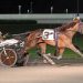 NY Sire Stakes underway at Yonkers Raceway