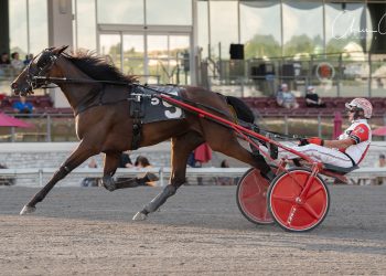 Trotting fillies to battle in $145,196 PASS