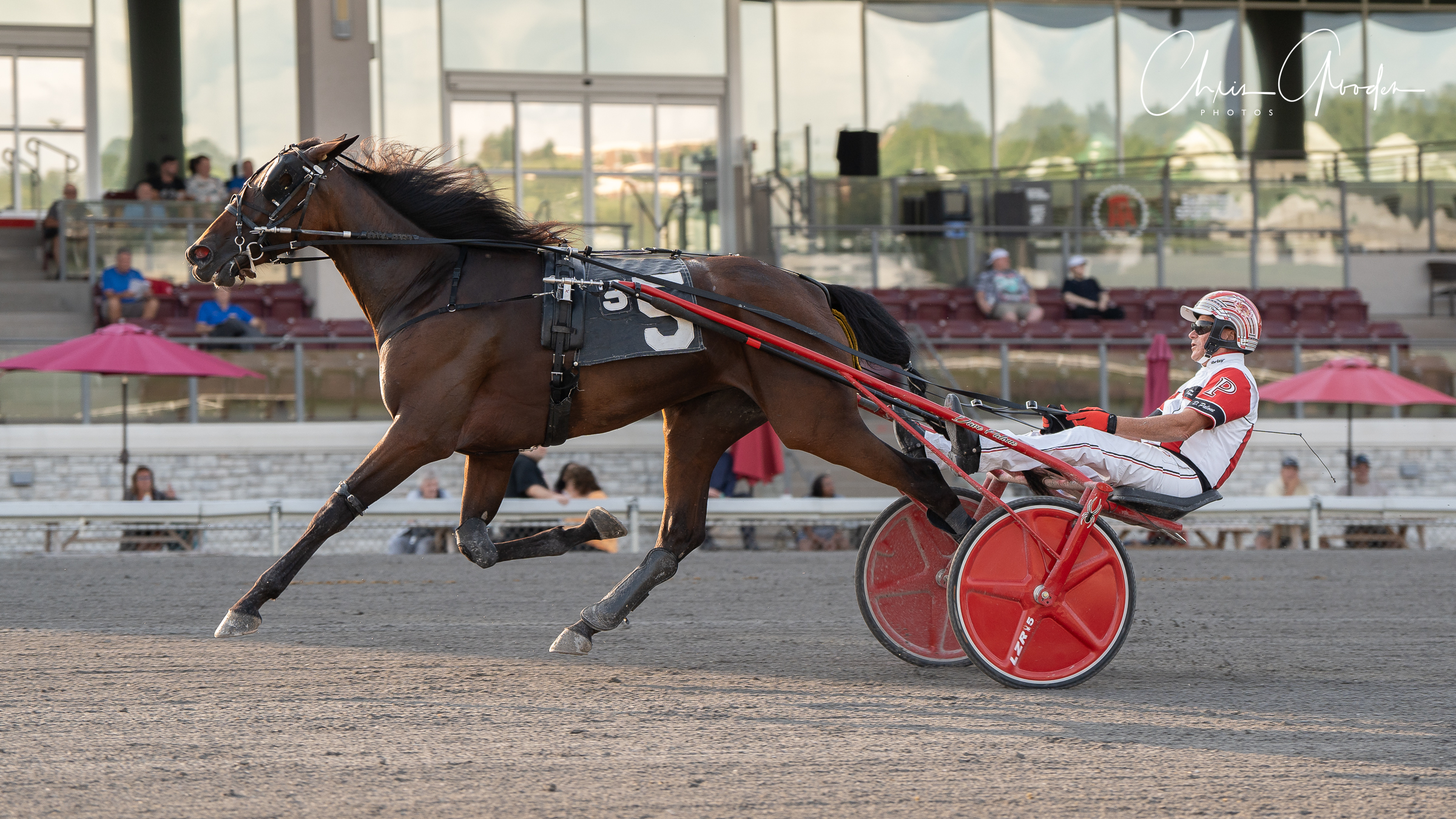 Trotting fillies to battle in $145,196 PASS