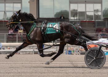 Pacer seeks sixth straight in $159,000 PASS