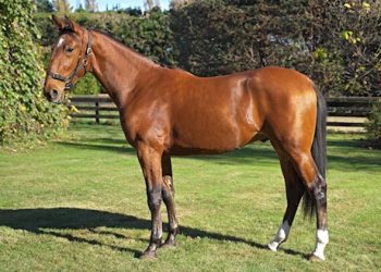 Bidding on seven Lots ends Wednesday night