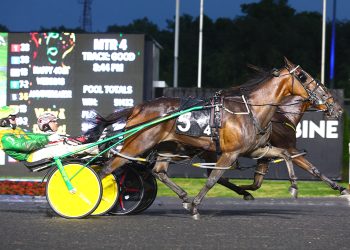 Fields complete for Fan Hanover, Armbro Flight