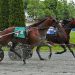 Fillies battle in Maine Sire Stakes 2 Fillies battle in Maine Sire Stakes