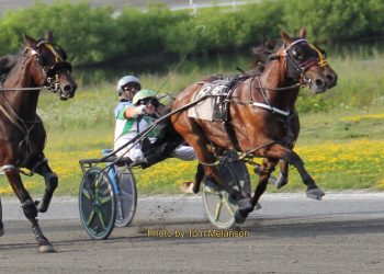 With 7th win a career best, Swedish Starlet N keeps on rolling