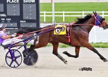 Unbeaten Volstead fillies headline Ohio Sire Stakes