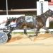 Woods mare steps to first win of the season