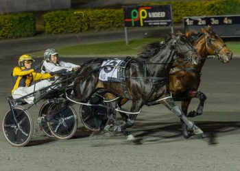 Barnes hustling to claim a Redcliffe Gold Cup