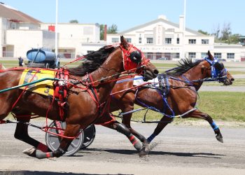 Light The Torch sizzles at Hippodrome 3R