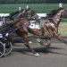 23-1 upset winner in super-fast Graduate Pace