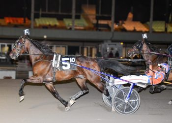 Leon Bailey wins both co-features at Vernon