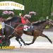 Tioga feature trot to Believer 3 Tioga feature trot to Believer