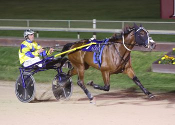 Bet N Win Brisbane bound