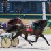 Muskingum finds winning recipe at Buffalo Raceway