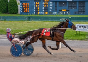 Spring Up Series Final to Heavens Fury