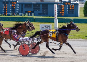 Peace Talks walks the walk in $117,700 NYSS