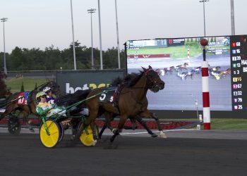 Call Me Goo slays M-M’s Dream in $233,000 Armbro Flight