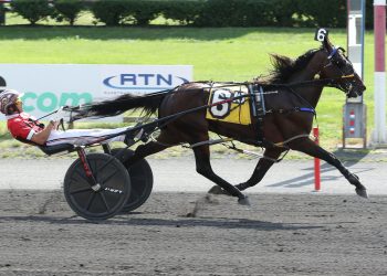 Stakes winners by Catch The Fire