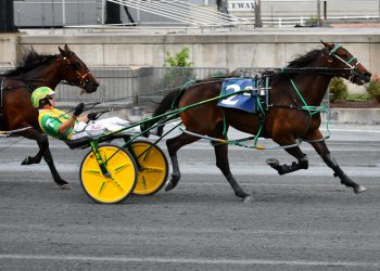 Curtsyforpurrseco fastest in DSBF prelims