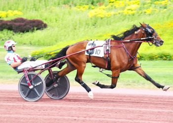 Pocono feature to son of Donato Hanover