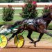 Will the ‘Duke’ rule in Yonkers Trot elimination?