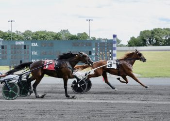 Win streak grows to six for Elista Hanover