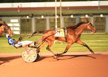 PA Sire Stakes belong to Hanover horses