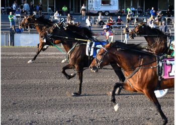 Three-horse photo finish at Vernon