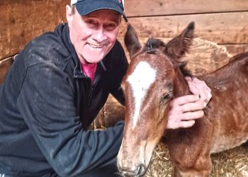 Horseman and official, Frank Dubreuil, 71, dies