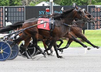Svanstedt sweeps both two-year-old NYSS divisions