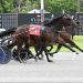 NYSS dash for $106,300 at Tioga Downs 2 Svanstedt sweeps both two-year-old NYSS divisions